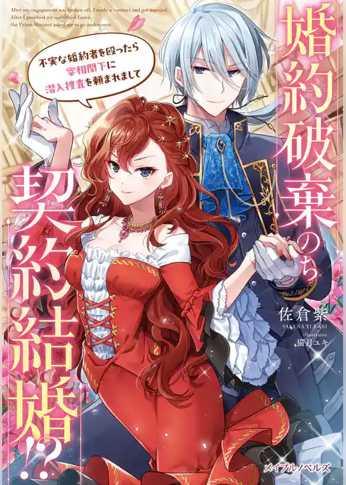 婚約破棄のち契約結婚！？