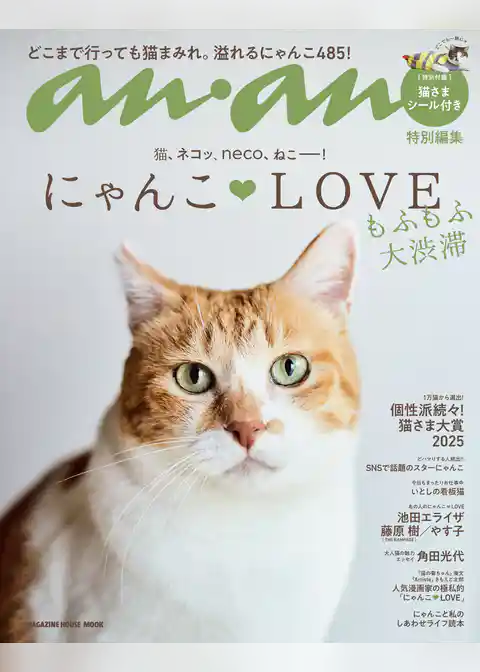 anan特別編集 にゃんこＬＯＶＥ もふもふ大渋滞