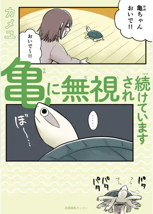 亀に無視され続けています