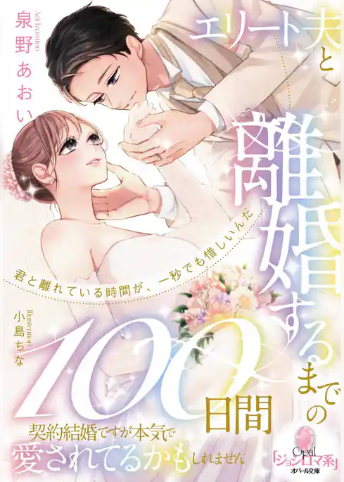 エリート夫と離婚するまでの１００日間　契約結婚ですが本気で愛されてるかもしれません