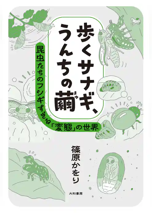 歩くサナギ、うんちの繭～昆虫たちのフシギすぎる「変態」の世界