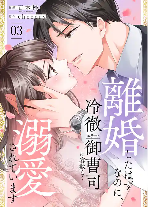 離婚したはずなのに、冷徹エリート御曹司に容赦なく溺愛されています【電子単行本版】