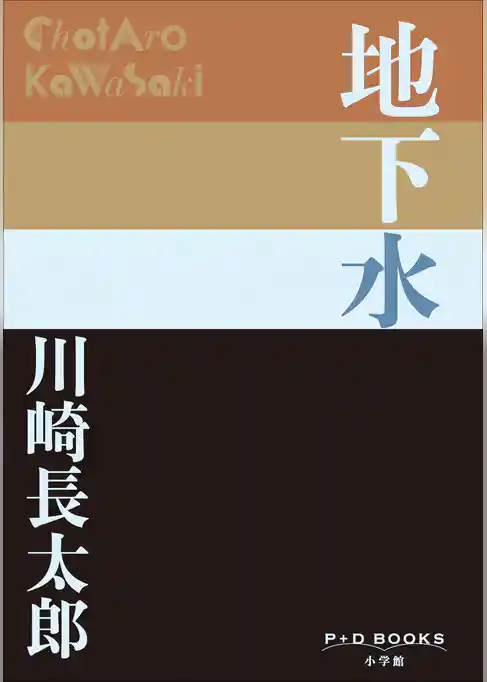 P+D BOOKS　地下水