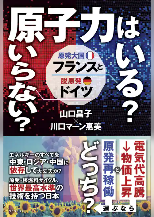 原子力はいる？ いらない？ 原発大国フランスと脱原発ドイツ