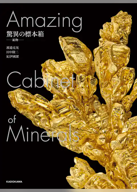 驚異の標本箱　‐鉱物‐