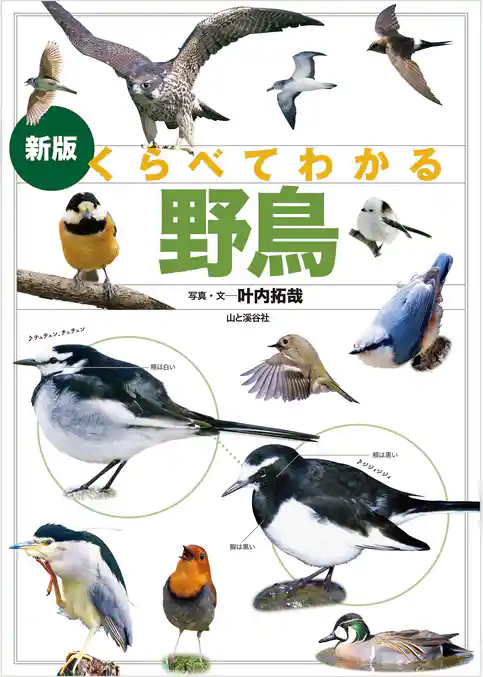 新版 くらべてわかる野鳥
