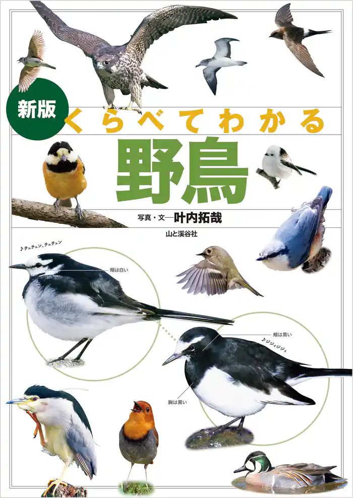 新版 くらべてわかる野鳥
