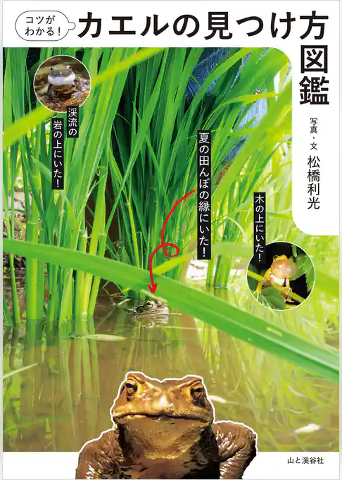 コツがわかる！カエルの見つけ方図鑑
