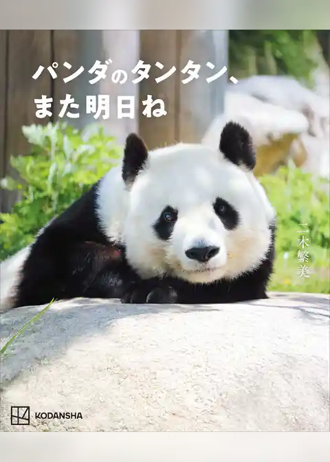 パンダのタンタン、また明日ね