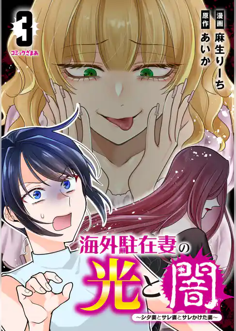 海外駐在妻の光と闇～シタ妻とサレ妻とサレかけた妻～