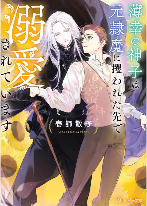 薄幸の神子は元隷魔に攫われた先で溺愛されています