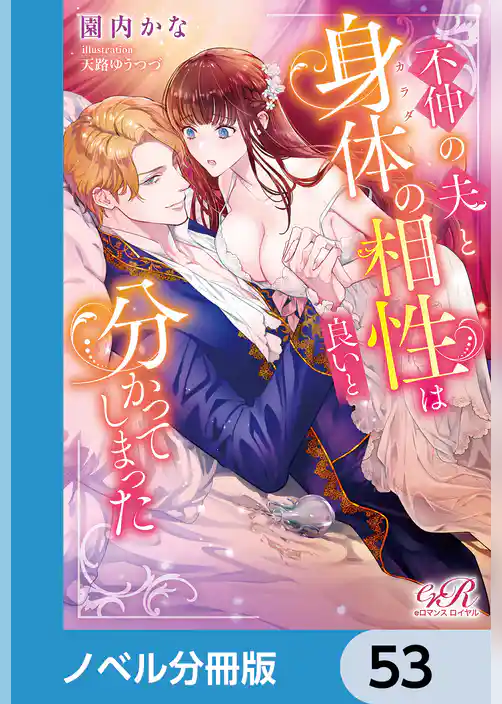 不仲の夫と身体の相性は良いと分かってしまった【ノベル分冊版】