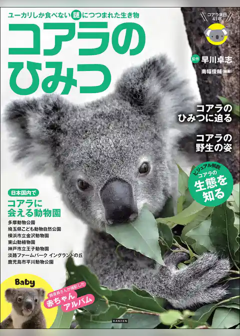 コアラのひみつ