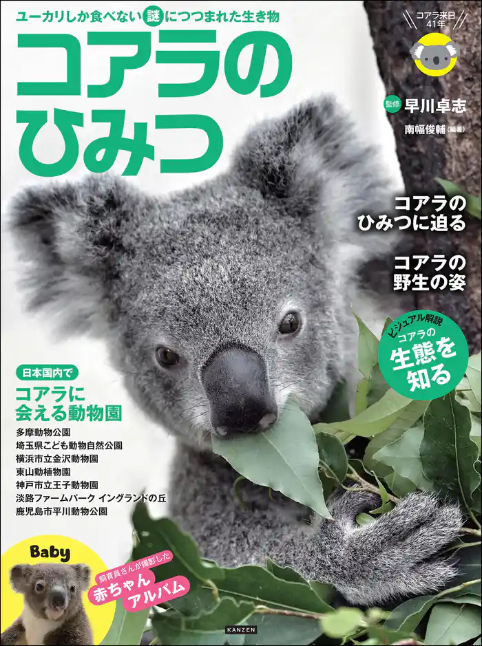 コアラのひみつ