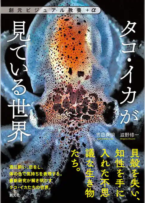 タコ・イカが見ている世界