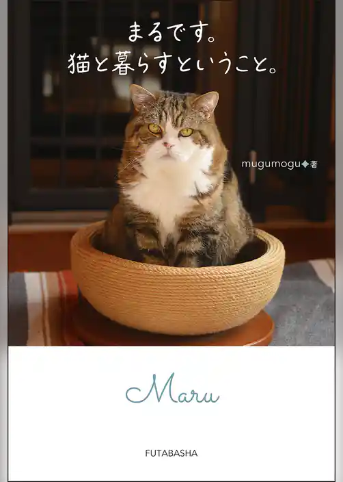 まるです。猫と暮らすということ。