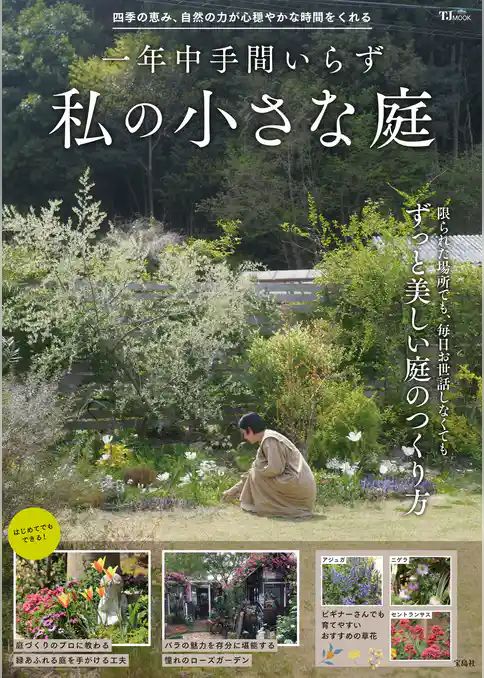 一年中手間いらず 私の小さな庭