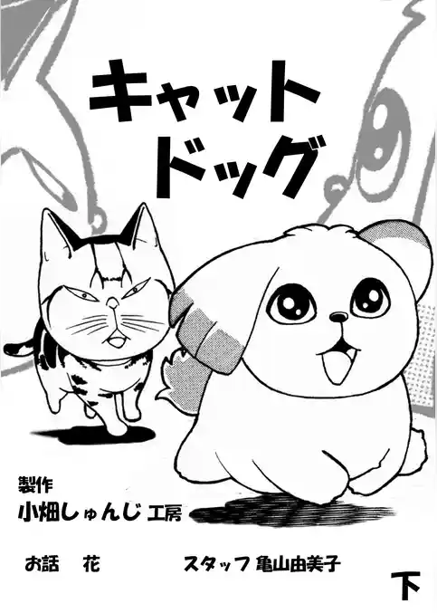 キャットドッグ