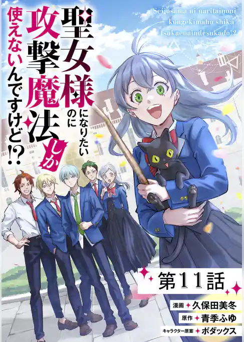 聖女様になりたいのに攻撃魔法しか使えないんですけど！？【単話版】