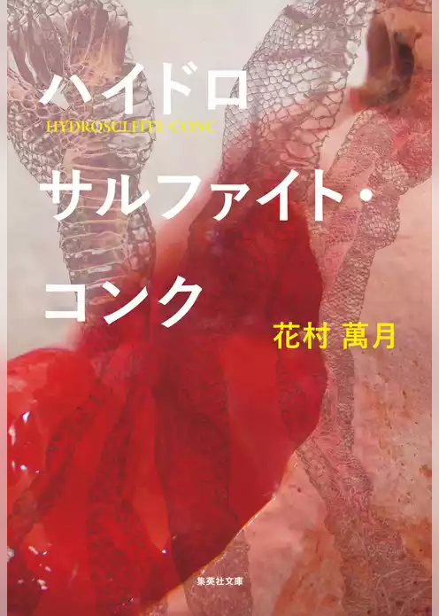 ハイドロサルファイト・コンク