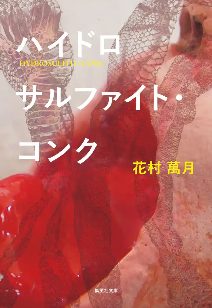 ハイドロサルファイト・コンク