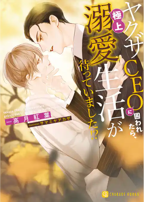 ヤクザCEOに囲われたら、極上溺愛生活が待っていました！？