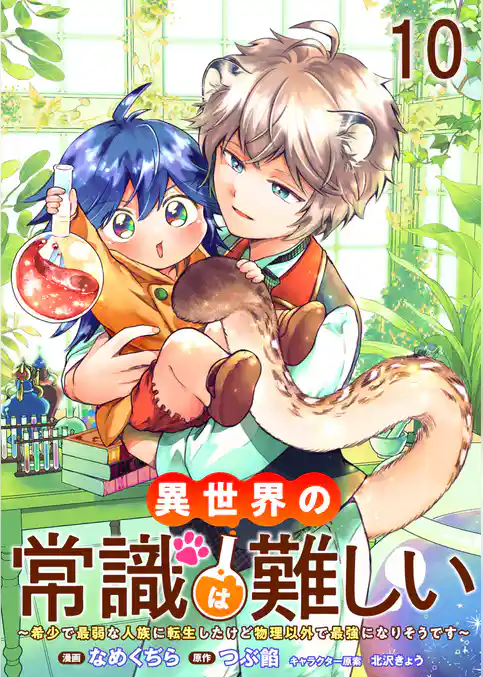 異世界の常識は難しい～希少で最弱な人族に転生したけど物理以外で最強になりそうです～　ストーリアダッシュ連載版