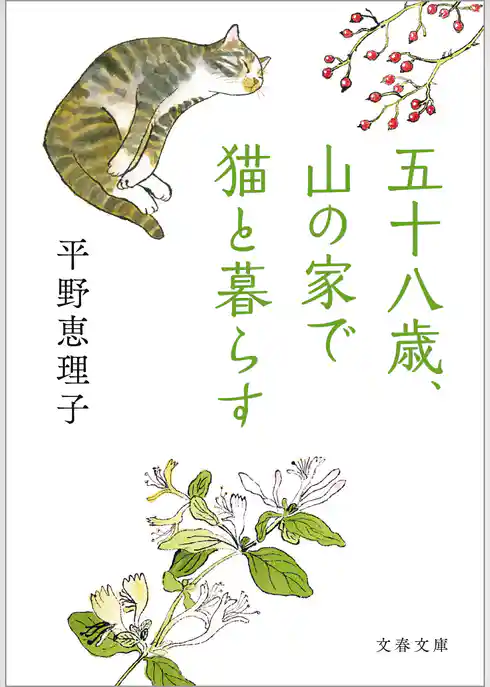 五十八歳、山の家で猫と暮らす