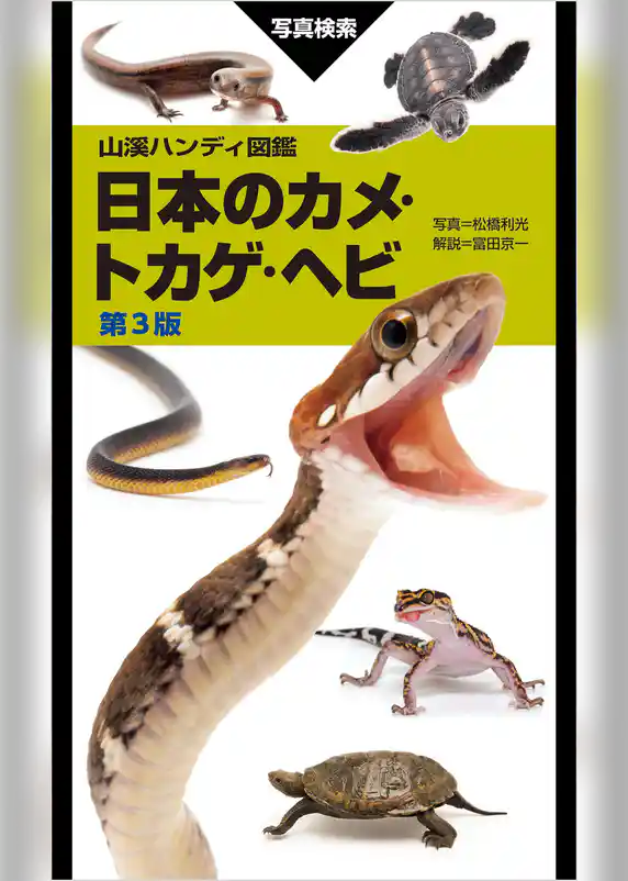 山溪ハンディ図鑑 日本のカメ・トカゲ・ヘビ 第3版