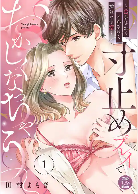 寸止めプレイでおかしくなっちゃう～焦らされてイかされて挿(い)れない沼～【電子単行本】