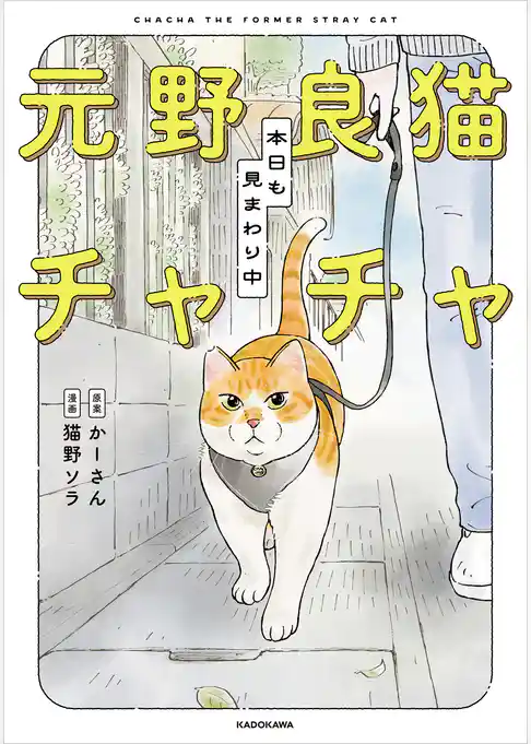 元野良猫チャチャ　本日も見まわり中