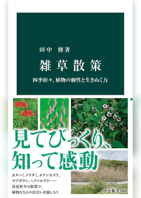 雑草散策　四季折々、植物の個性と生きぬく力