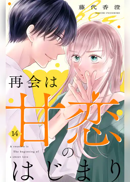 再会は甘恋のはじまり 分冊版