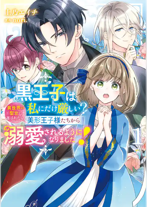 黒王子は私にだけ厳しい？