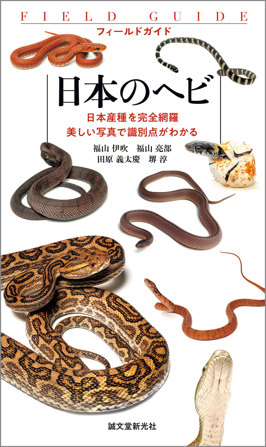 日本のヘビ:日本産種を完全網羅 美しい写真で識別点がわかる(書籍) - 電子書籍 | U-NEXT 初回600円分無料