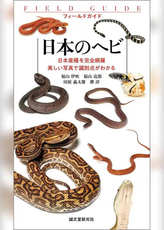 日本のヘビ：日本産種を完全網羅 美しい写真で識別点がわかる