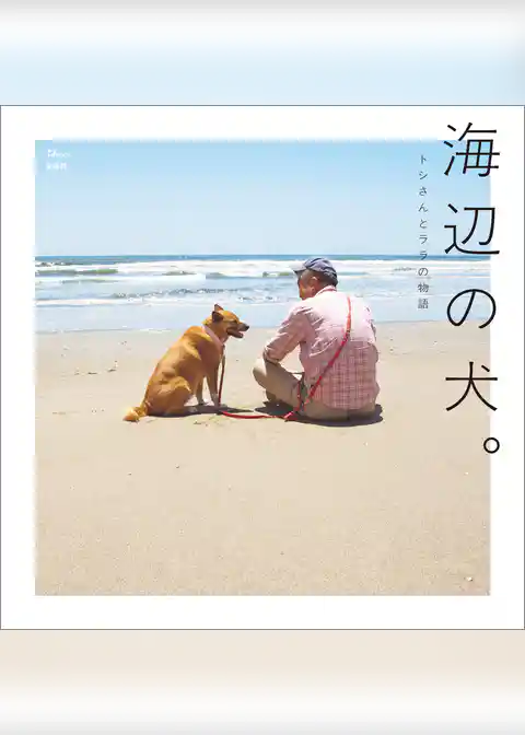海辺の犬。