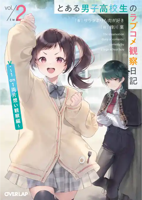 とある男子高校生のラブコメ観察日記