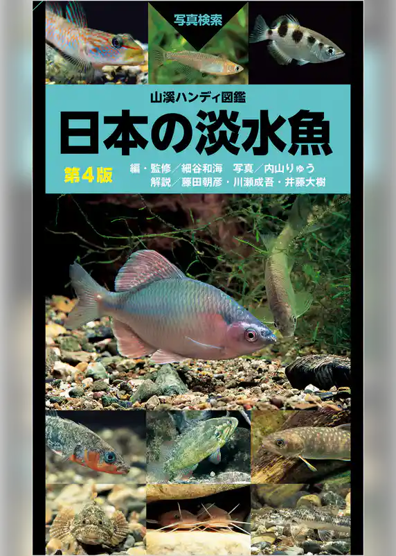 山溪ハンディ図鑑 日本の淡水魚 第4版