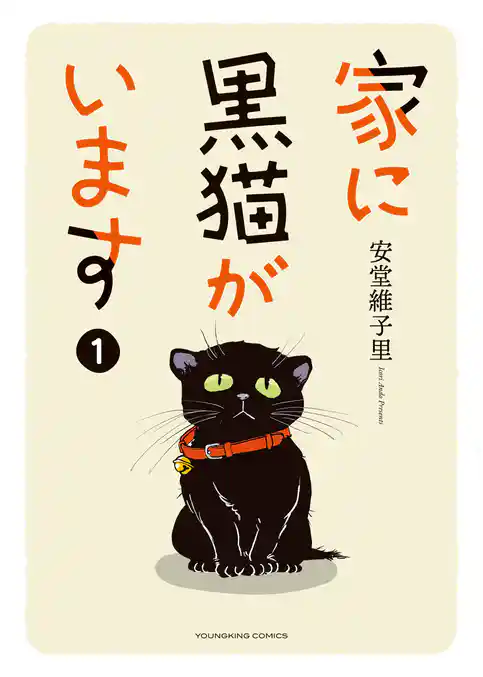 家に黒猫がいます