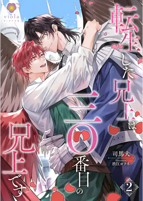 転生した兄上は三〇番目の兄上です