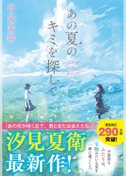 あの夏のキミを探して