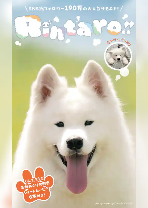 【デジタル限定】りんたろう写真集「Rintaro！！」