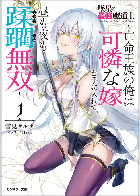 墜星の最強魔道士 ～亡命王族の俺は可憐な嫁を手に入れて、昼も夜も蹂躙無双～（ノベル）