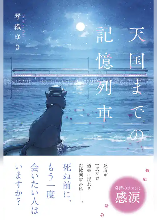 天国までの記憶列車