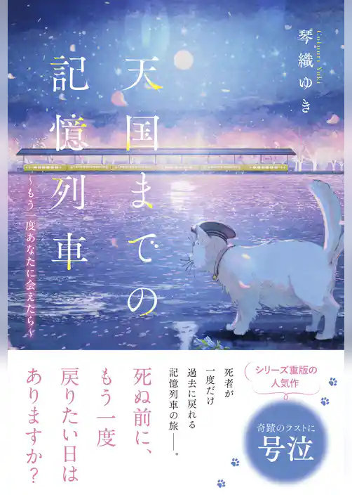 天国までの記憶列車