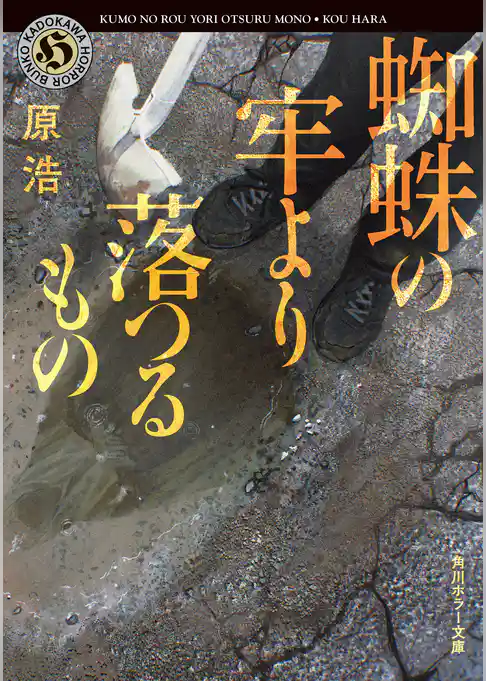 蜘蛛の牢より落つるもの