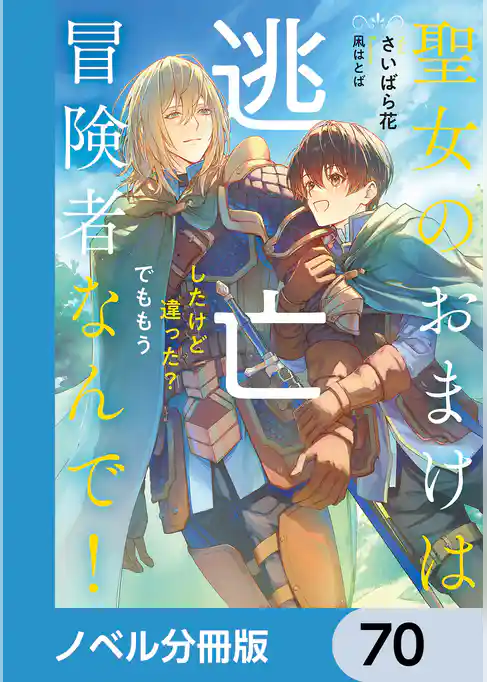 聖女のおまけは逃亡したけど違った？　でももう冒険者なんで！【ノベル分冊版】