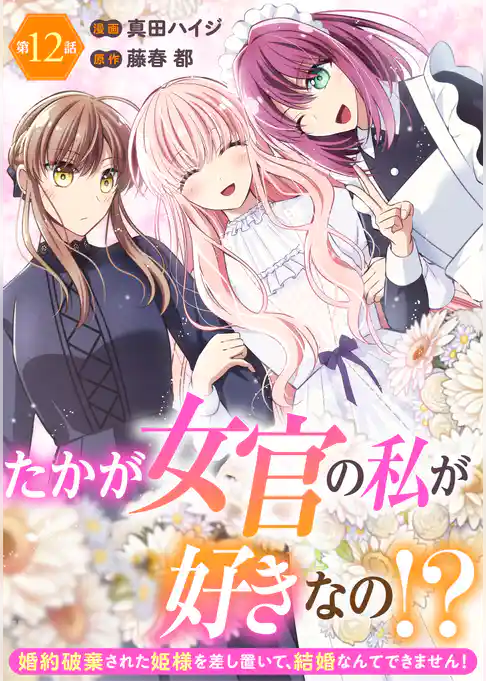 たかが女官の私が好きなの！？　婚約破棄された姫様を差し置いて、結婚なんてできません！