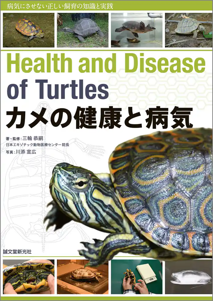 カメの健康と病気：病気にさせない正しい飼育の知識と実践